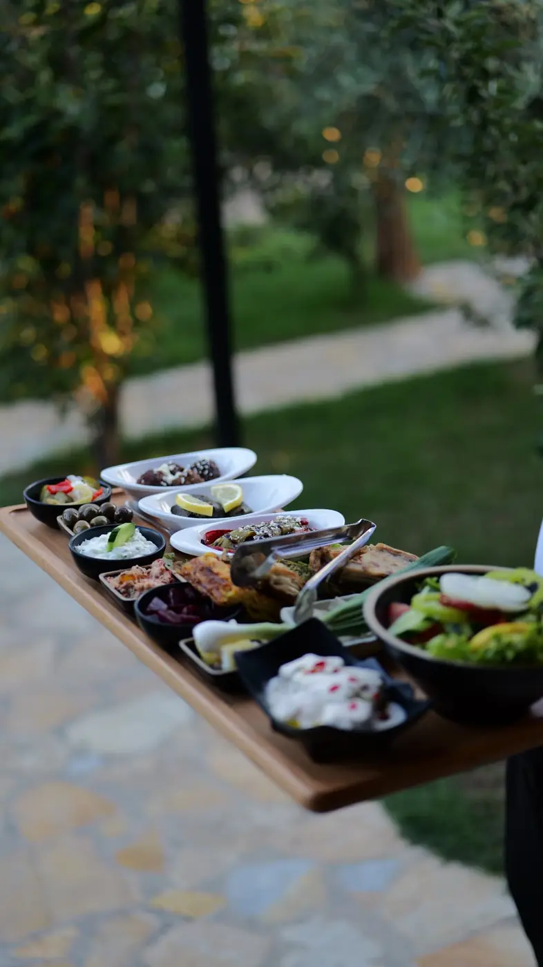 Long meze board with dips, dolma, olives and salad in the garden