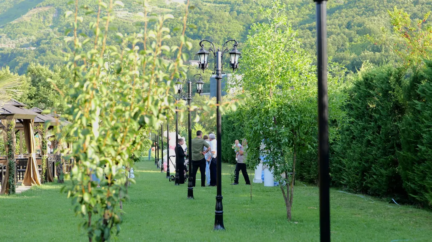 Guests celebrating on the green lawn between the lamp posts